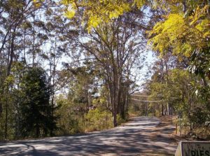 Take on the Challenging The Gap to Mount Glorious Bike ...