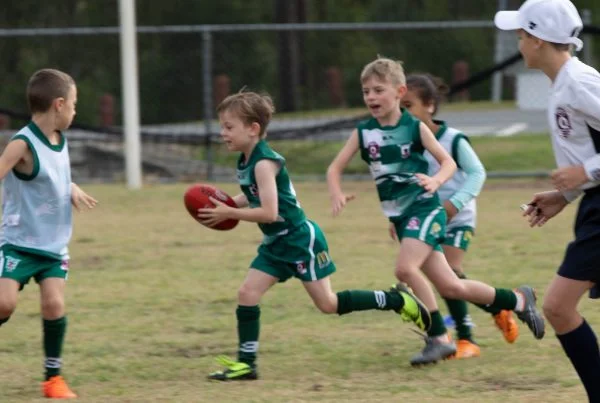 Ferny Grove Falcons
